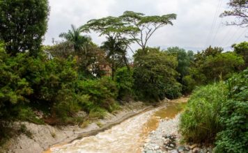 Cuidar el agua debe ser una prioridad en Itagüí y en el mundo¨- Itagüí Hoy