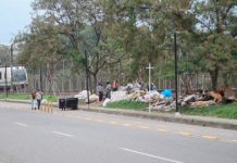 Problemática de basuras en barrio La Cruz - Itagüí Hoy