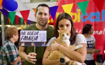 Adoptatón, la oportunidad de darle hogar a cientos de animales - Itagüí Hoy