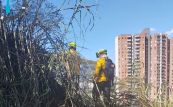 Incendio de cobertura vegetal en la vereda El Porvenir