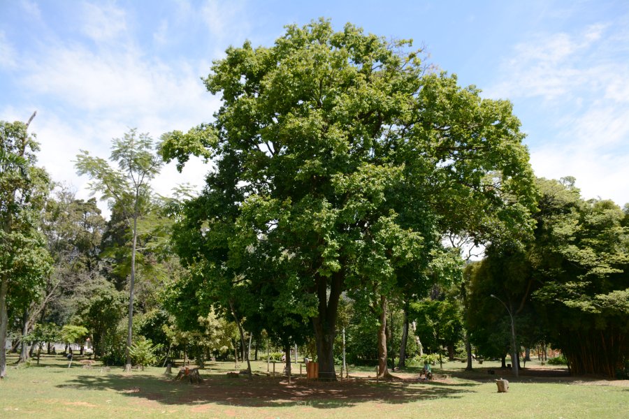 Itagüí le rinde homenaje a su patrimonio natural
