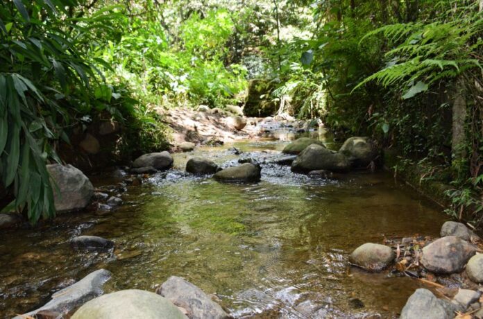 Itagüí le rinde homenaje a su patrimonio natural
