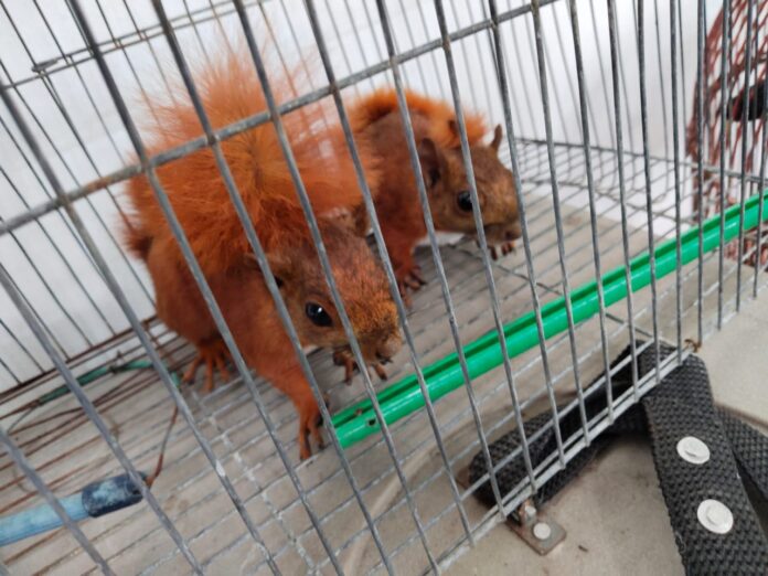 WhatsApp Image 2025-06-18 at 7.39.33 AM