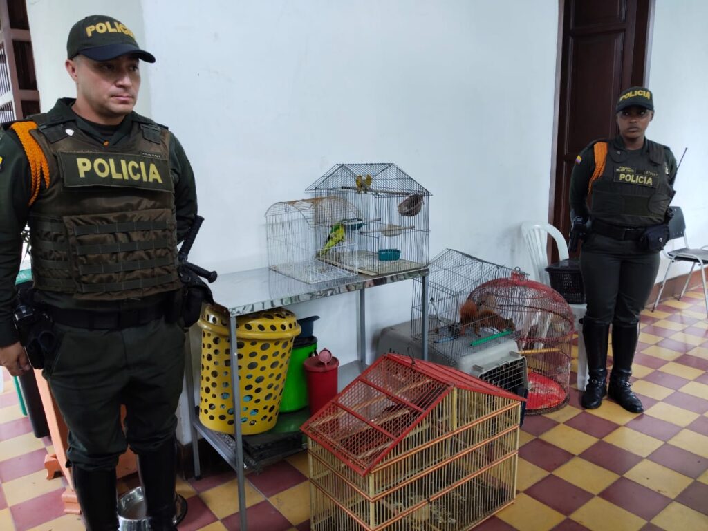 Rescatan 10 animales silvestres en cautiverio en Itagüí tras denuncias ciudadanas