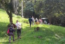 Club de Caminantes de Itagüí abre el 2026 con recorrido por el corregimiento El Manzanillo