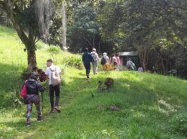 Club de Caminantes de Itagüí abre el 2026 con recorrido por el corregimiento El Manzanillo