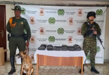 Incautan 10 kilos de marihuana en bodega de envíos en Itagüí