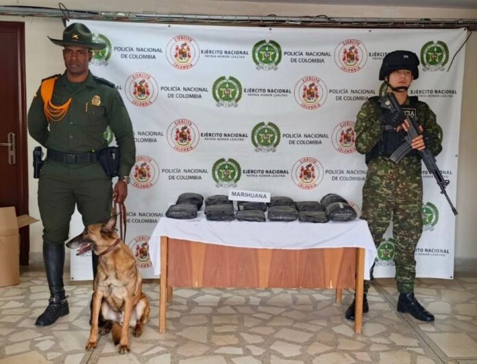 Incautan 10 kilos de marihuana en bodega de envíos en Itagüí