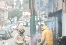 enjambre de abejas Santa María La Nueva