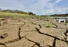 EPM entrega recomendaciones ante posible fenómeno de El Niño en Colombia