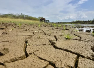 EPM entrega recomendaciones ante posible fenómeno de El Niño en Colombia