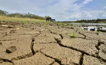 EPM entrega recomendaciones ante posible fenómeno de El Niño en Colombia