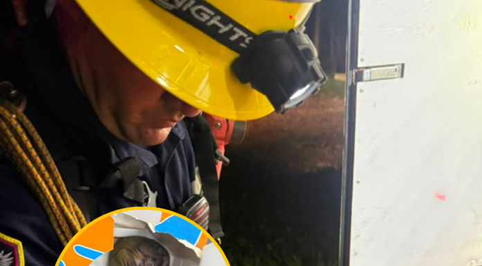 ¡Lalo y Aurelio se salvaron del incendio en Itagüí!