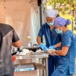 ¡Itagüí tendrá jornada gratuita de esterilización para mascotas en la sede administrativa Coltejer! - Itagüí Hoy | Noticias de Itagüí